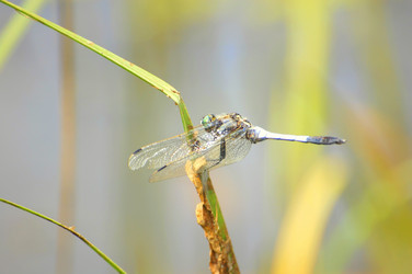 Similar image 675303