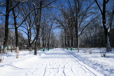 Similar image 675315