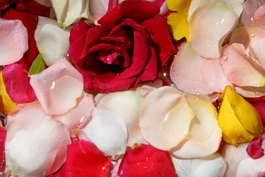 Similar image 675319