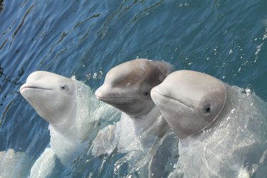 Similar image 675368