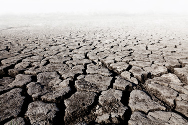 Similar image 675374