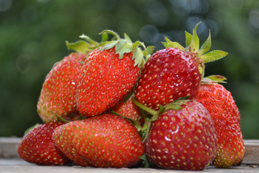 Similar image 675388