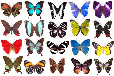 Similar image 675413