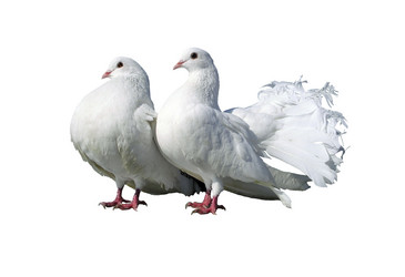 Similar image 675443