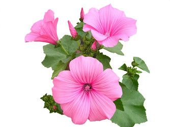 Similar image 675447