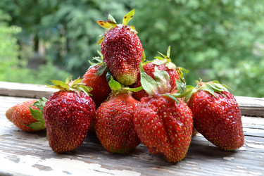 Similar image 675454