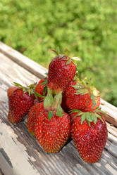 Similar image 675455