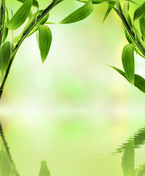 Similar image 675481