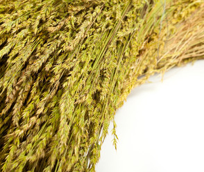 Similar image 675502