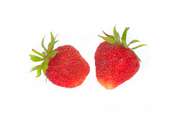 Similar image 675518