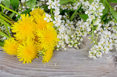 Similar image 675566