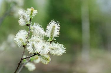 Similar image 675567