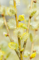 Similar image 675568