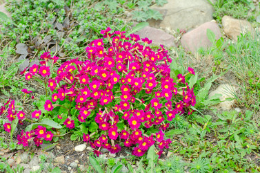 Similar image 675569