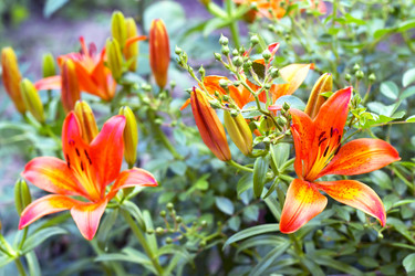 Similar image 675575