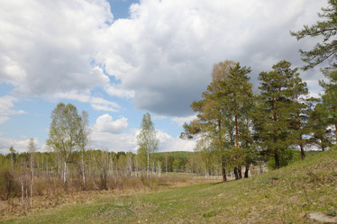 Similar image 675591