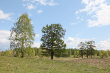 Similar image 675592