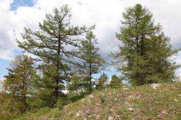 Similar image 675594