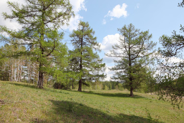 Similar image 675598