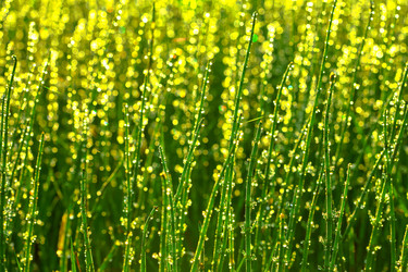 Similar image 675634