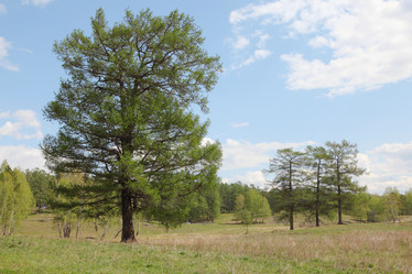 Similar image 675640