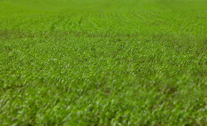 Similar image 675657