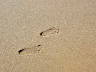 Similar image 675690