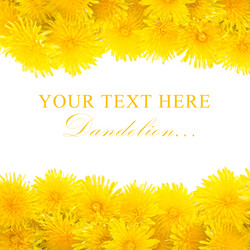 Similar image 675693