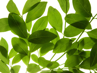 Similar image 675694