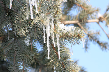 Similar image 675719