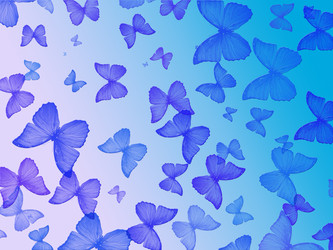 Similar image 675723