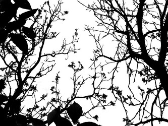 Similar image 675731