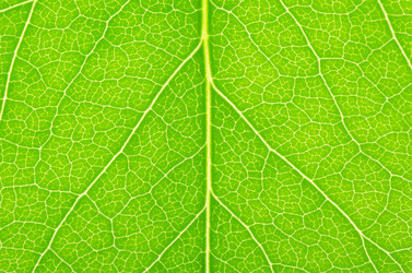 Similar image 675754