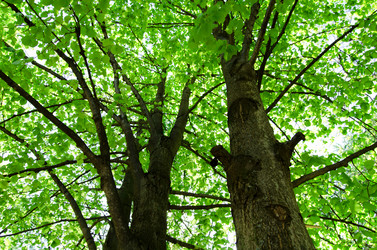 Similar image 675755