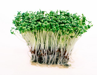 Similar image 675784