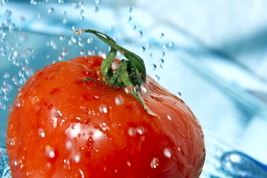 Similar image 675786