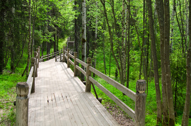 Similar image 675787