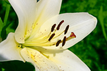 Similar image 675812