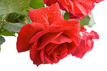 Similar image 675820