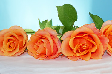 Similar image 675826