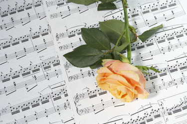 Similar image 675829