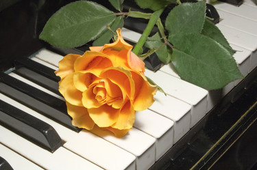 Similar image 675830