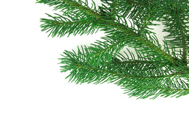 Similar image 675842