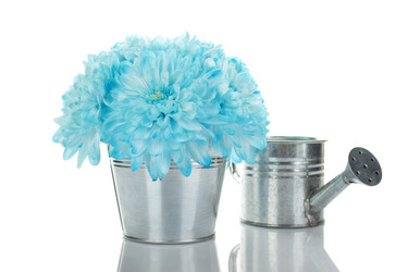 Similar image 675859