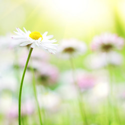 Similar image 675970