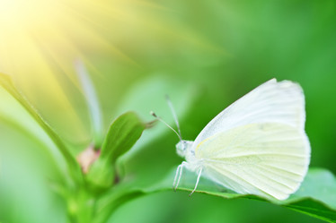 Similar image 675972