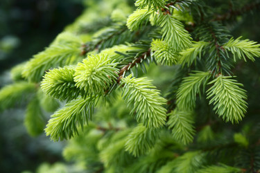 Similar image 676021