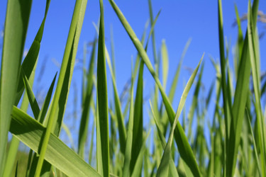 Similar image 676029