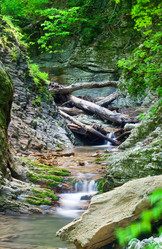 Similar image 676035