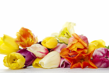 Similar image 676041